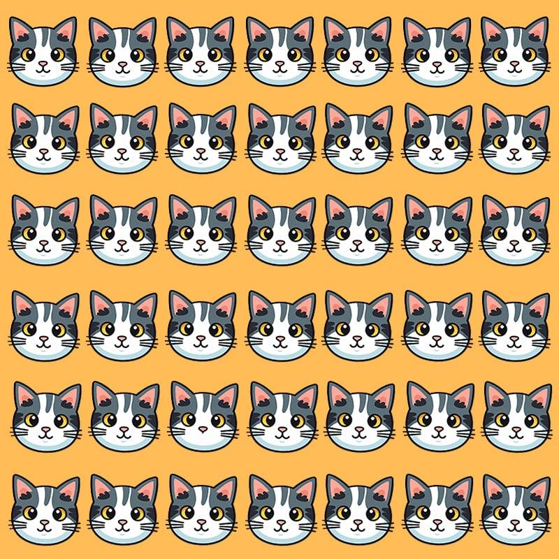 Ta optična iluzija je mogoča le za ljudi z grandioznim IQ / Moje image