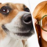 Samo pravi IQ-jevec bo v 10 sekundah videl psa v snegu: osupljiva optična iluzija, ki jemlje dih Samo pravi IQ-jevec bo v 10 sekundah videl psa v