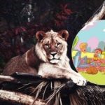 To je naloga, ki jo zmorejo le redki: v 6 sekundah morate v parku najti leva. To je naloga, ki jo zmorejo le redki: v 6